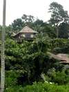 Banyan Tree Bintan 